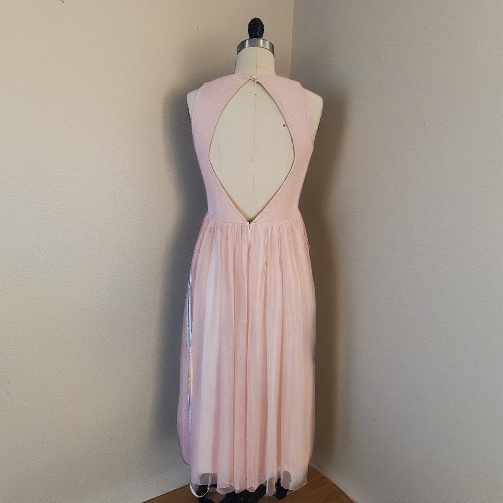 Frock & Frill NWT Romantic Blush Tulle Midi Dress | Embroidered Floral Size 6 - Picture 3 of 11